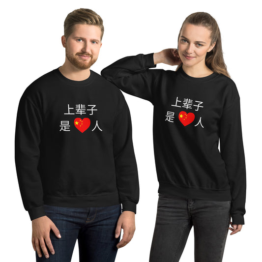 Mandarin Chinese Characters T-shirt, Funny, Humorous writing, Teacher Created, Last life was Chinese 上辈子是中国人   Unisex Premium Sweatshirt