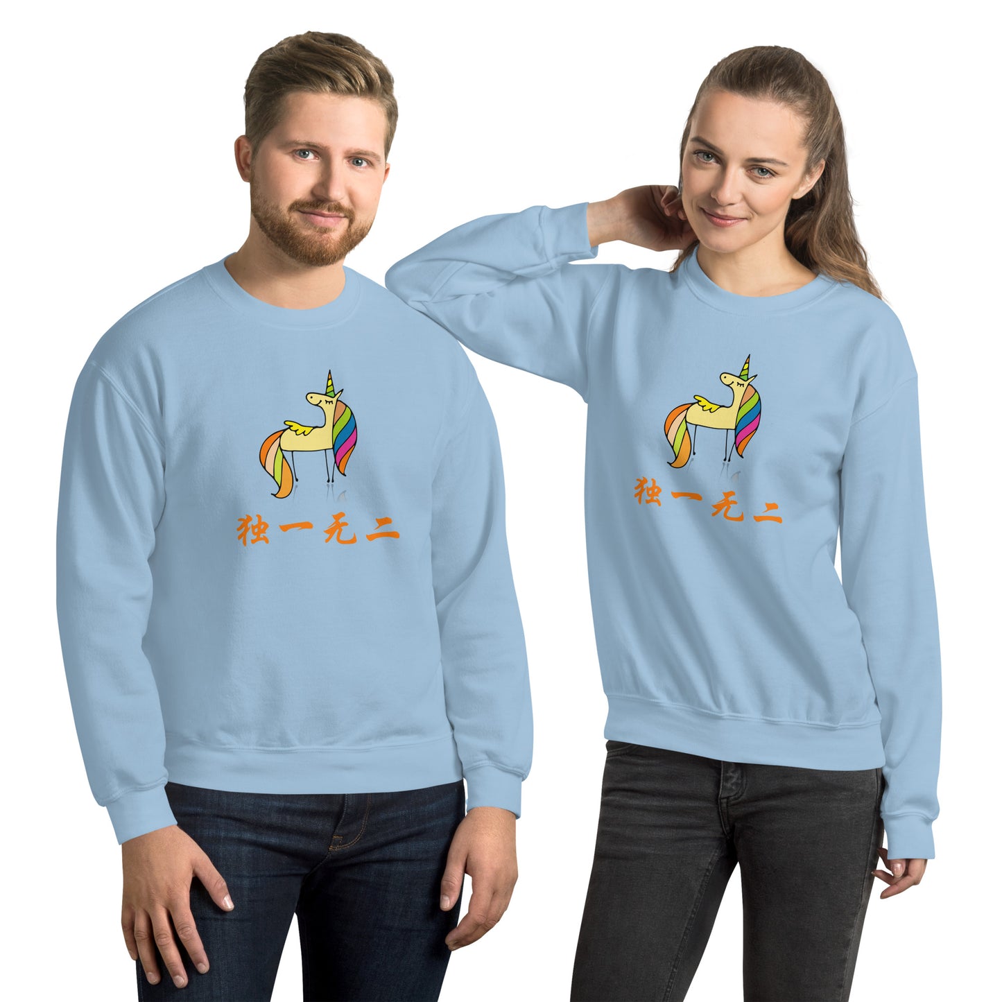 Mandarin Chinese Characters  Unisex Premium Sweatshirt, Funny, Humorous writing, Teacher Approved, one of a kind独一无二