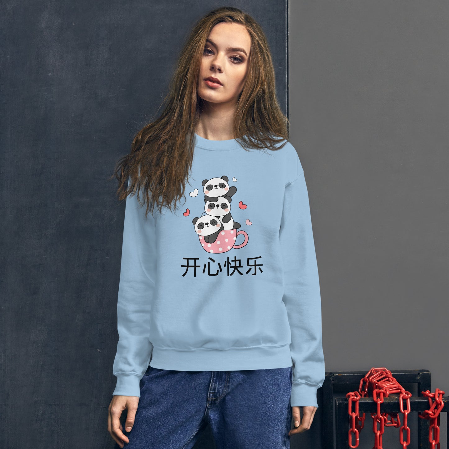 Mandarin Chinese Characters Unisex Premium Sweatshirt, Funny, Humorous writing, Teacher Approved, be Happy开心快乐