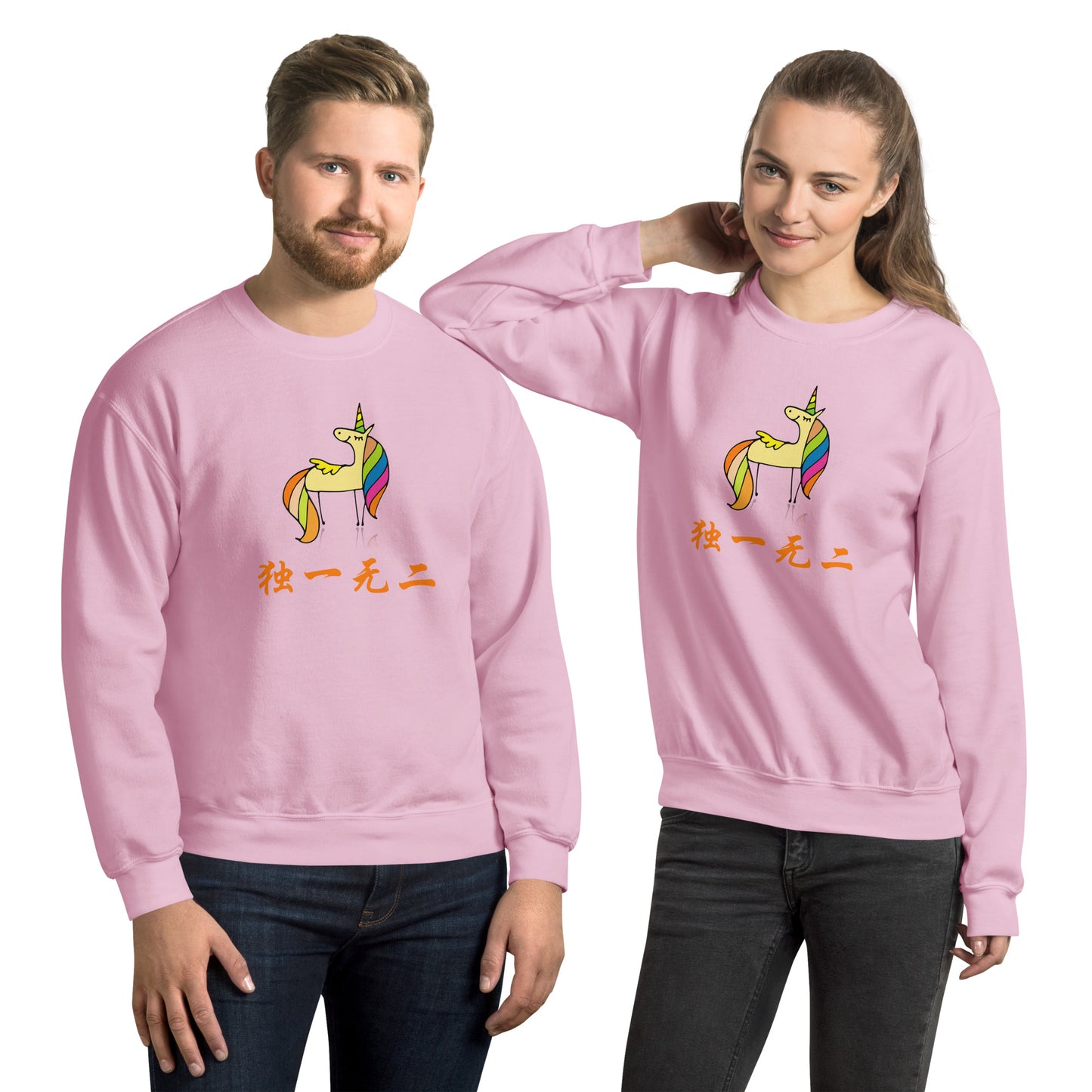 Mandarin Chinese Characters  Unisex Premium Sweatshirt, Funny, Humorous writing, Teacher Approved, one of a kind独一无二