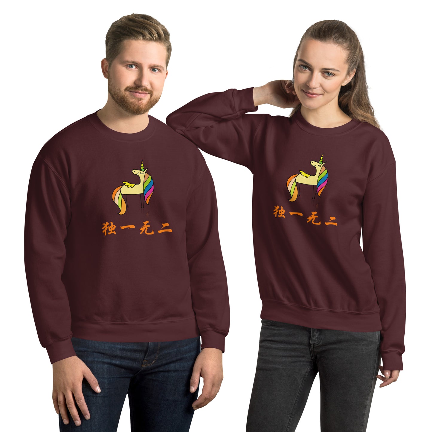 Mandarin Chinese Characters  Unisex Premium Sweatshirt, Funny, Humorous writing, Teacher Approved, one of a kind独一无二