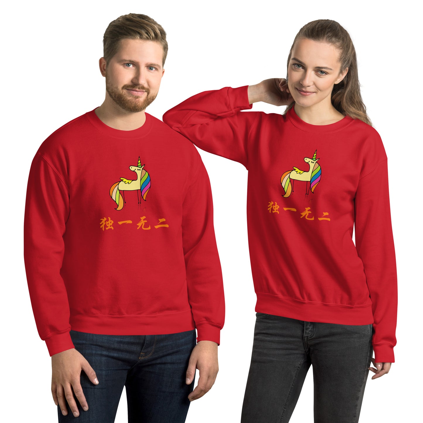 Mandarin Chinese Characters  Unisex Premium Sweatshirt, Funny, Humorous writing, Teacher Approved, one of a kind独一无二