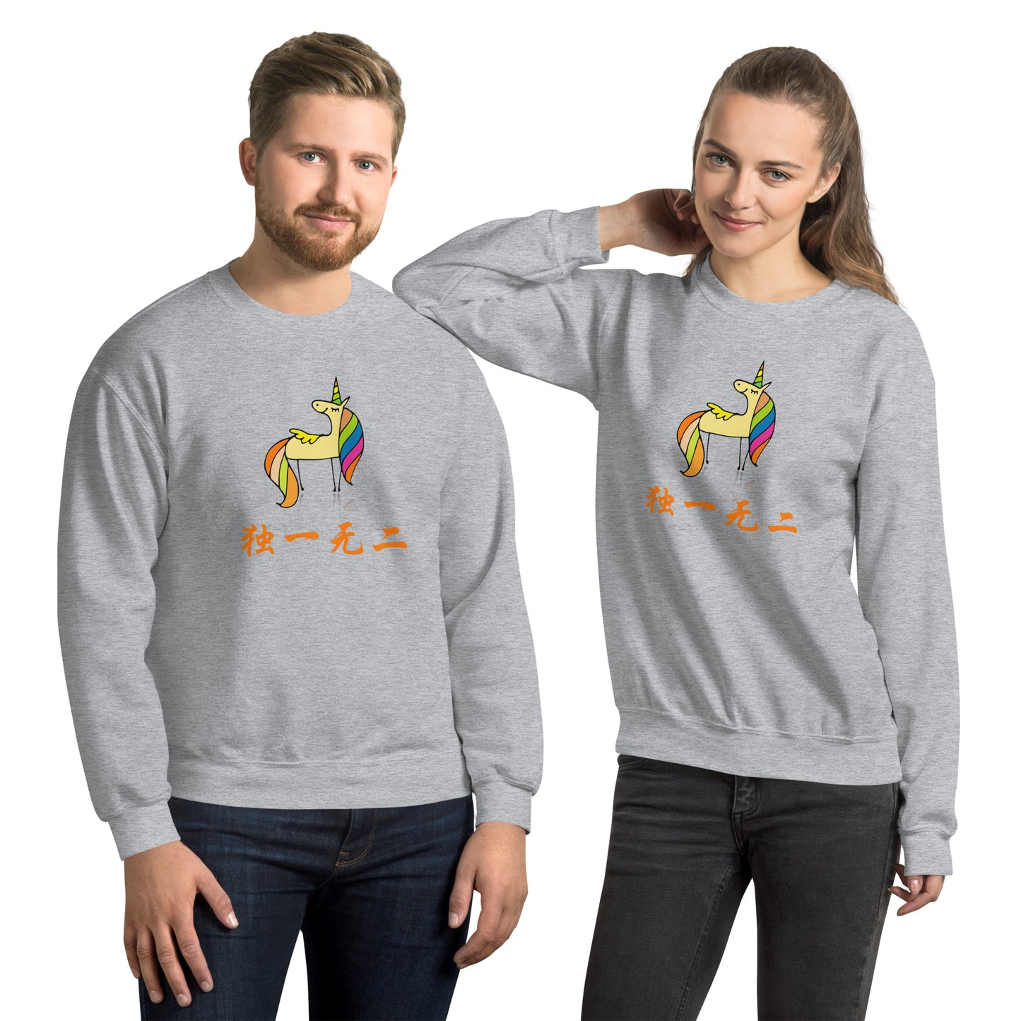 Mandarin Chinese Characters  Unisex Premium Sweatshirt, Funny, Humorous writing, Teacher Approved, one of a kind独一无二