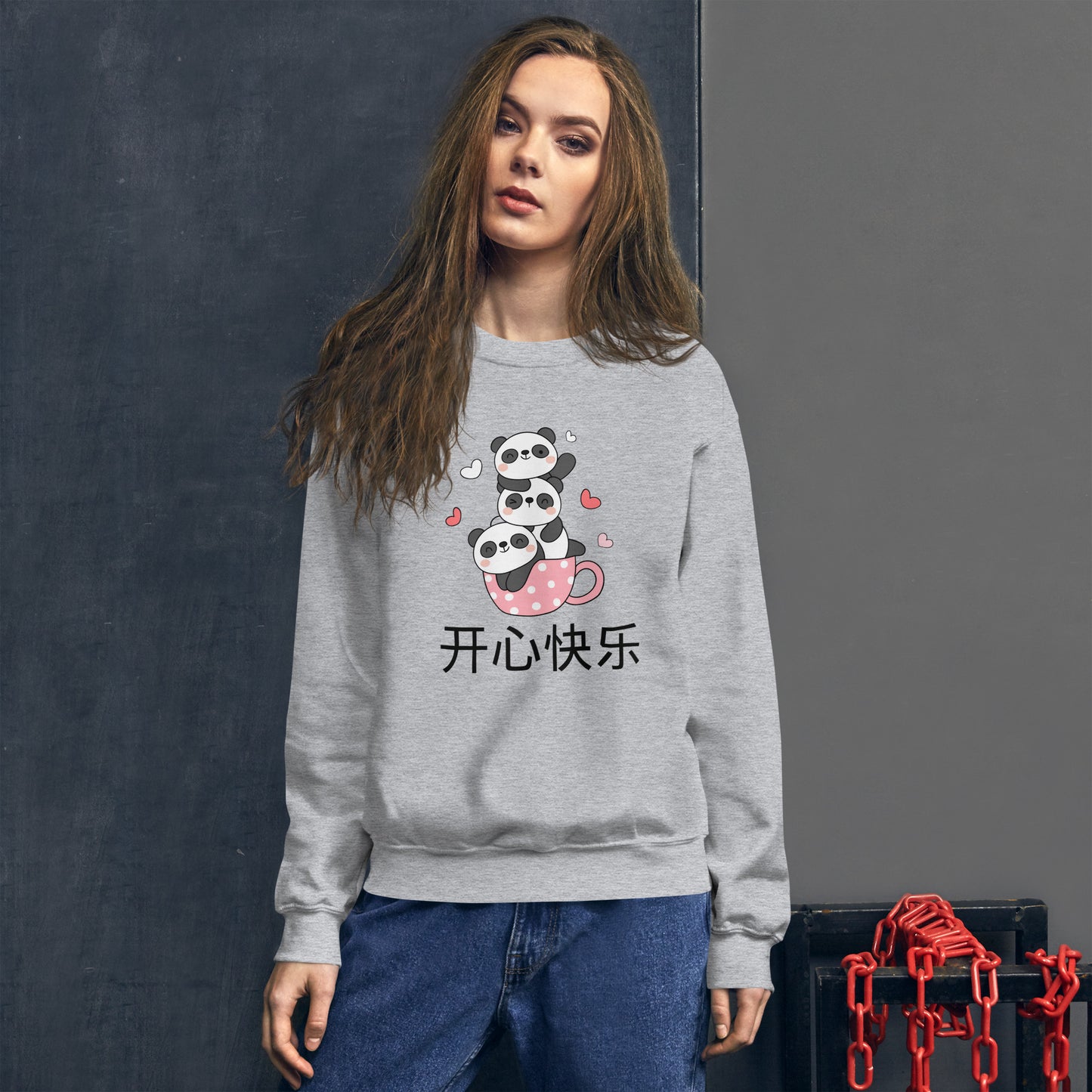 Mandarin Chinese Characters Unisex Premium Sweatshirt, Funny, Humorous writing, Teacher Approved, be Happy开心快乐