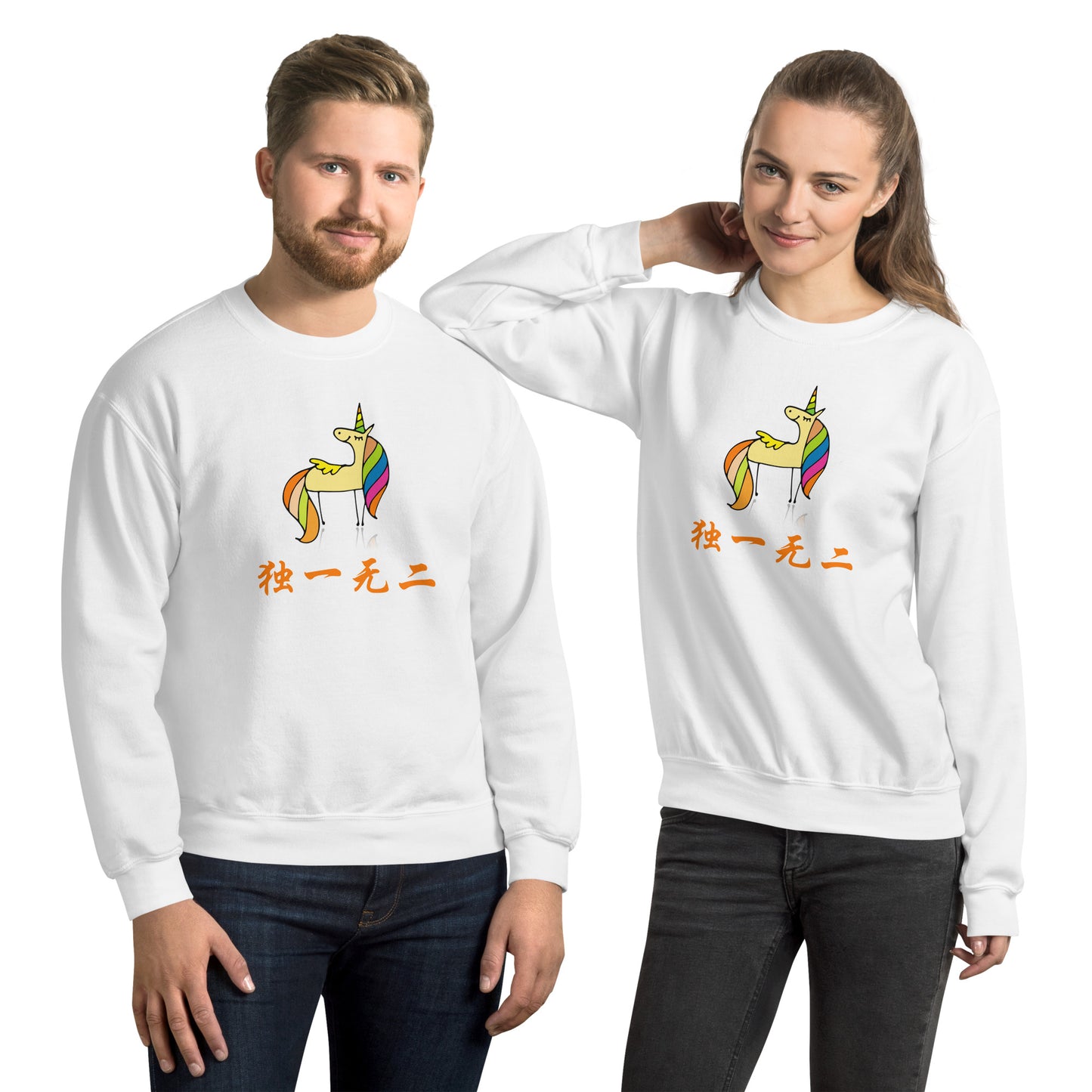 Mandarin Chinese Characters  Unisex Premium Sweatshirt, Funny, Humorous writing, Teacher Approved, one of a kind独一无二