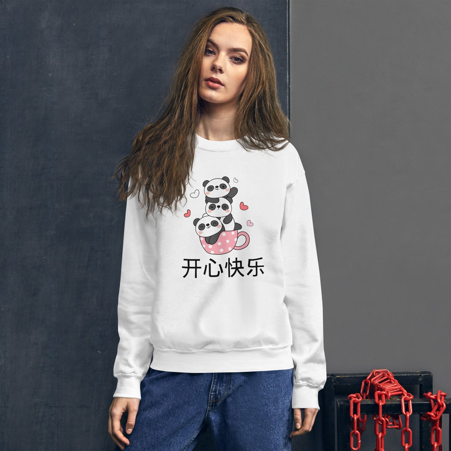 Mandarin Chinese Characters Unisex Premium Sweatshirt, Funny, Humorous writing, Teacher Approved, be Happy开心快乐