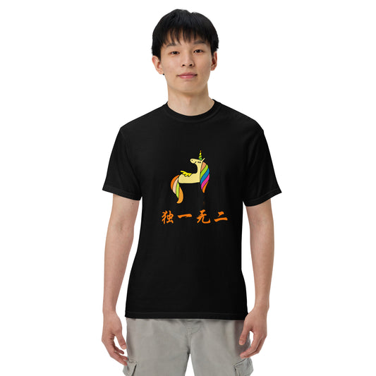 Mandarin Chinese Characters T-shirt, Funny, Humorous writing, Teacher Approved, Unique独一无二