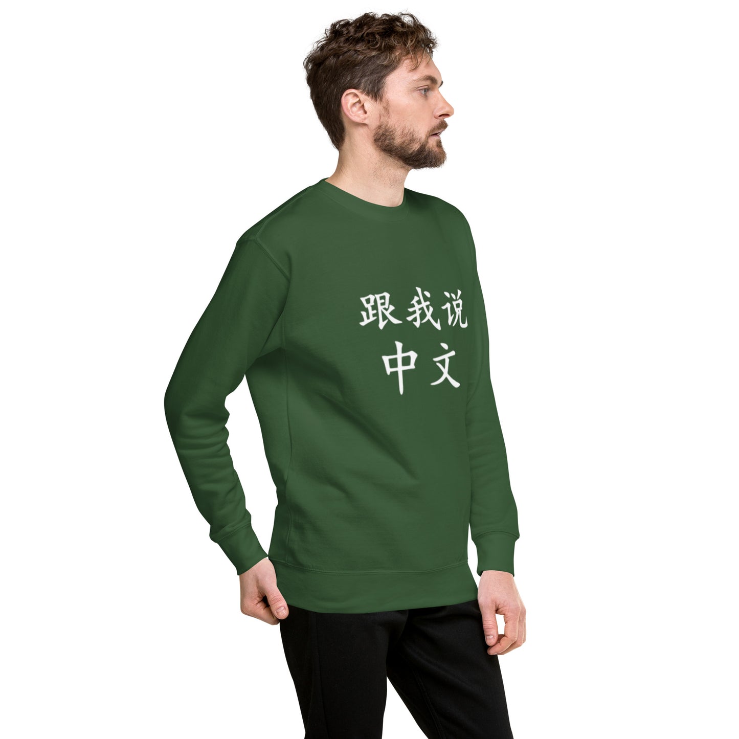 Mandarin Chinese Characters Clothes, Funny, Humorous writing, Teacher  Approved, Basic Speak Chinese with Me跟我说中文Unisex Premium Sweatshirt