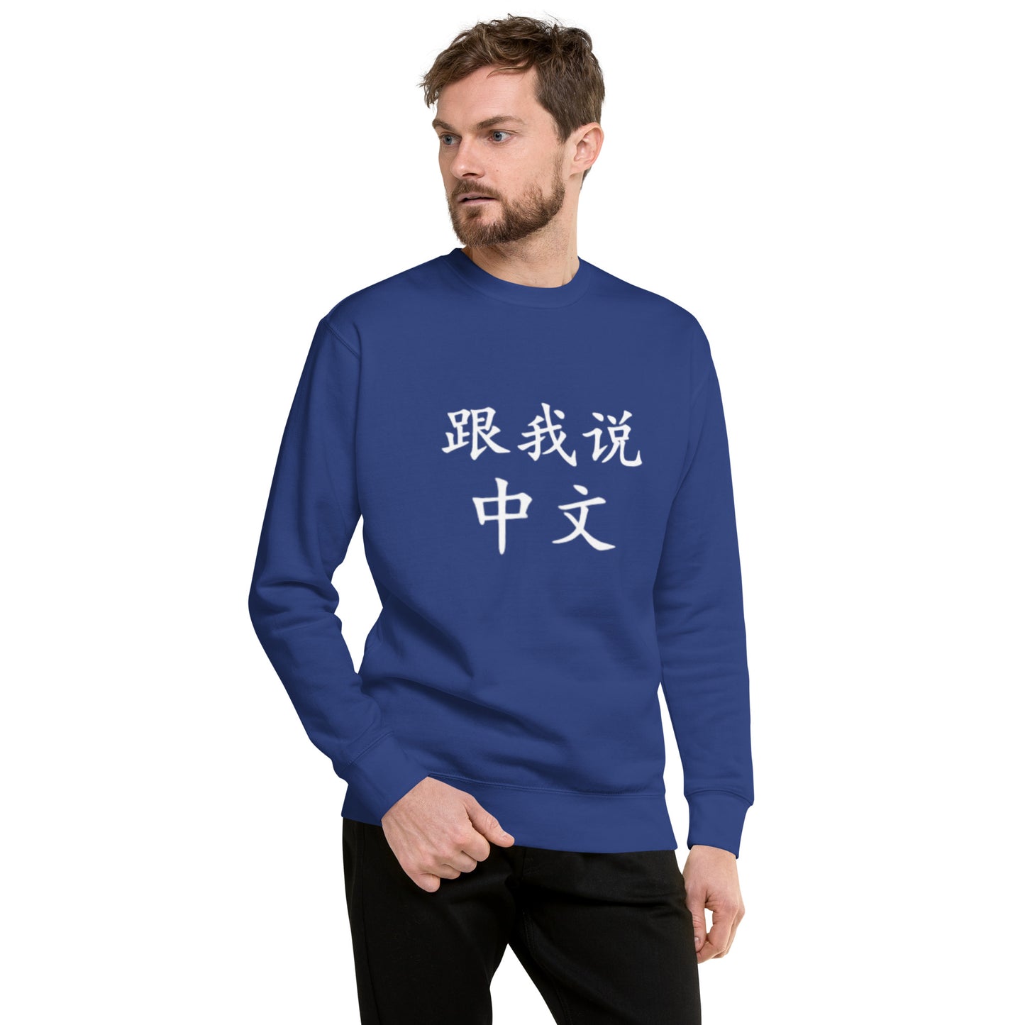 Mandarin Chinese Characters Clothes, Funny, Humorous writing, Teacher  Approved, Basic Speak Chinese with Me跟我说中文Unisex Premium Sweatshirt