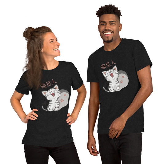 Mandarin Chinese Characters T-shirt, Funny, Humorous writing, Teacher Approved, Cat People喵星人