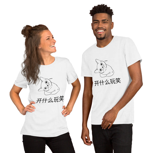 Mandarin Chinese Characters T-shirt, Funny, Humorous writing, Teacher Created,Are you kidding开什么玩笑